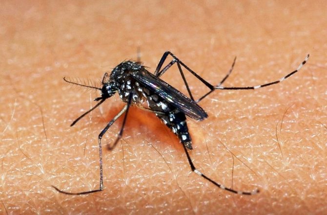 Médico morre com suspeita de dengue em Conquista e Secretaria de Saúde aguarda confirmação de Câmara Técnica Estadual