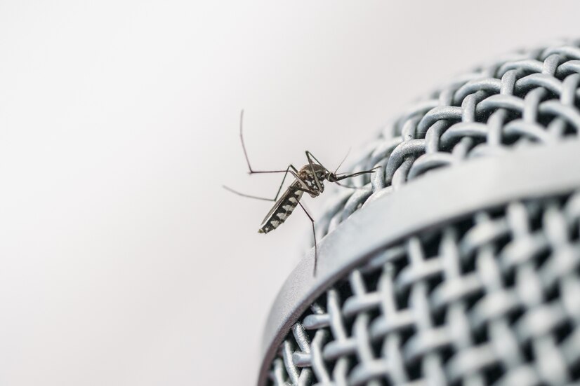‘Guerra da Saúde’ | Prefeitura e governo do Estado retomam guerra verbal em meio à epidemia de dengue